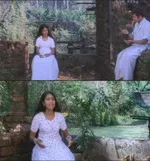 navya nair memes, memes, plain memes, navya nair plain meme, malayalam memes - Balamani's dress color changed